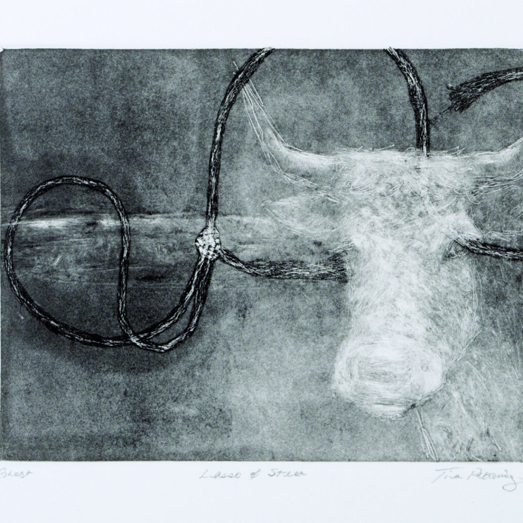 Lasso-Steer