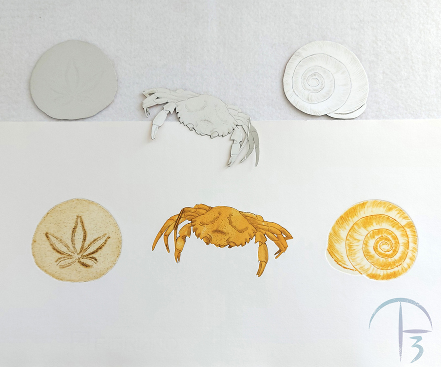 Look out for upcoming Spring Courses at the OSA