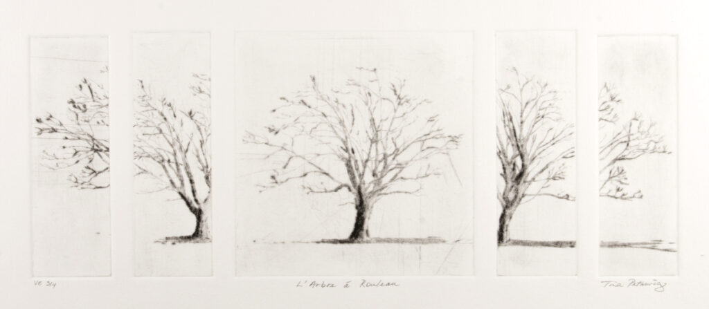 L’Arbre à Rouleau