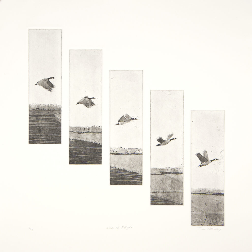 Line of Flight