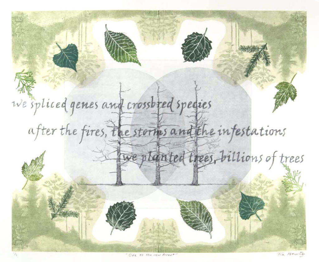 Ode to the New Forest
