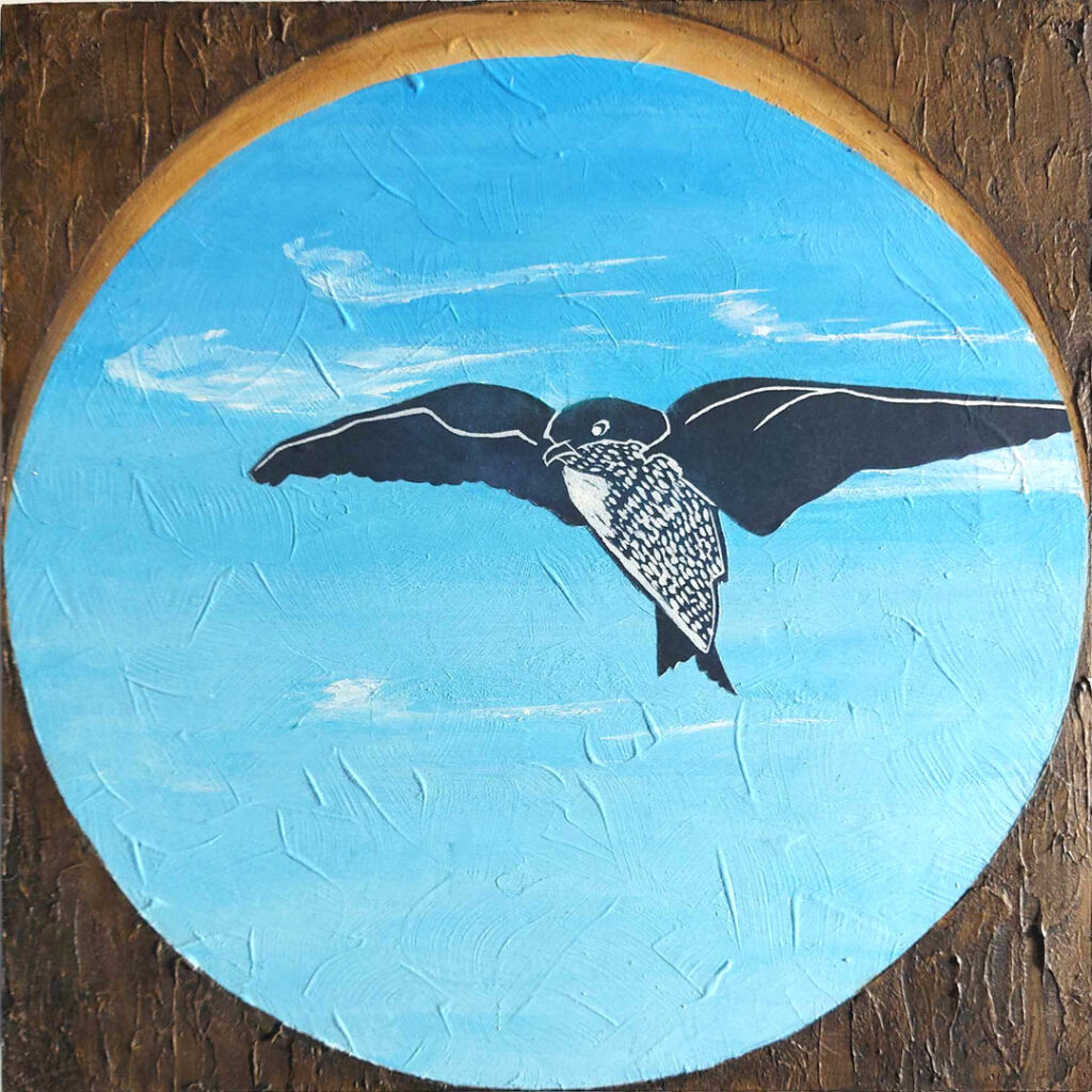 View from the Nest