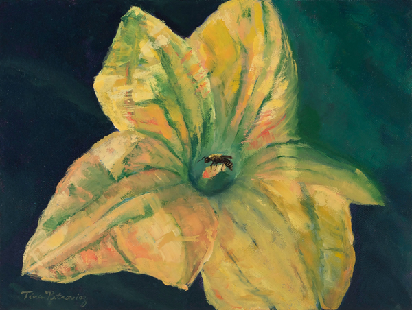 Bee in the Zucchini Flower