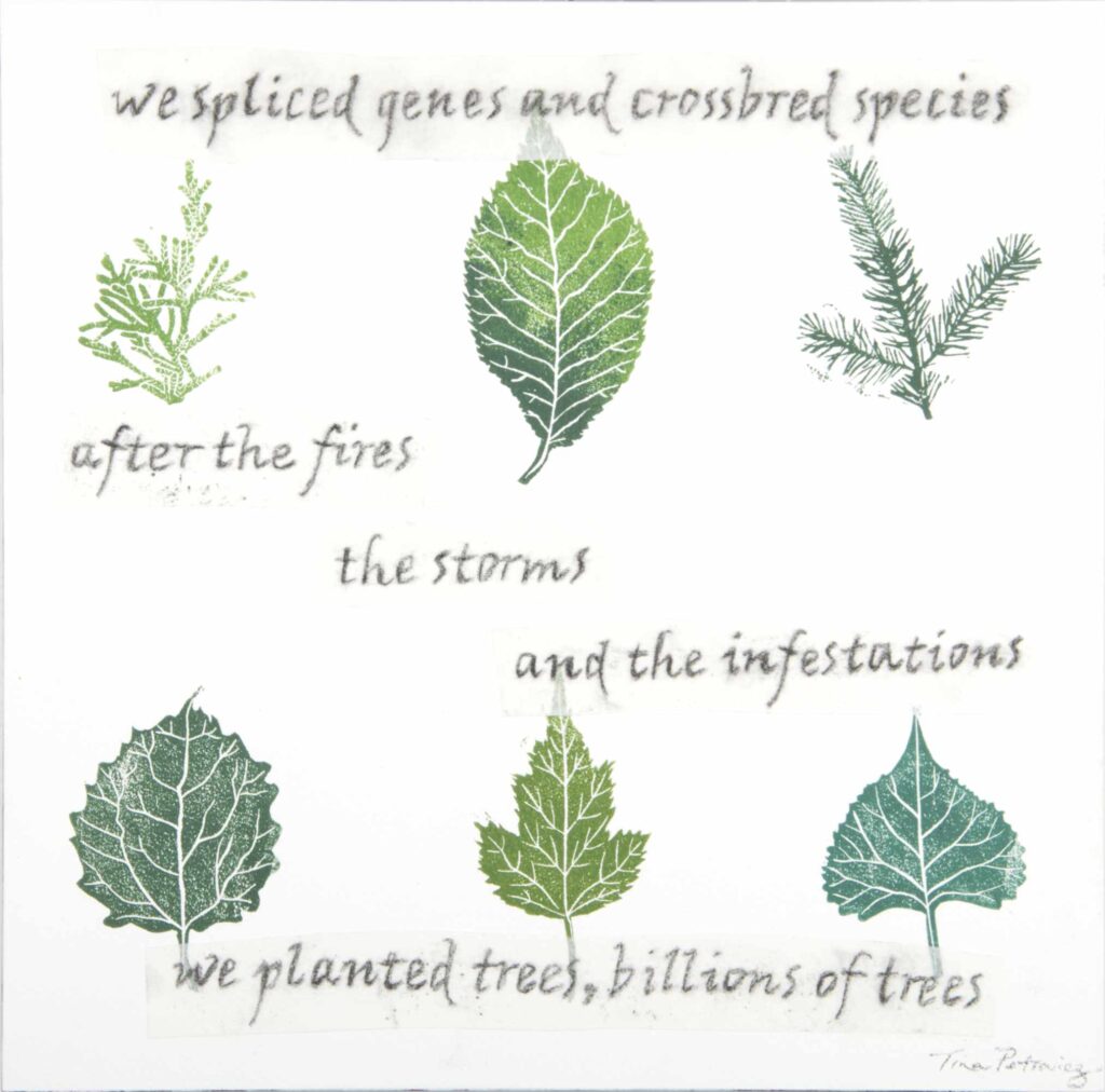 Poem to the New Forest