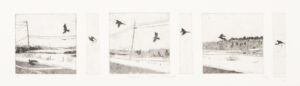 Montage